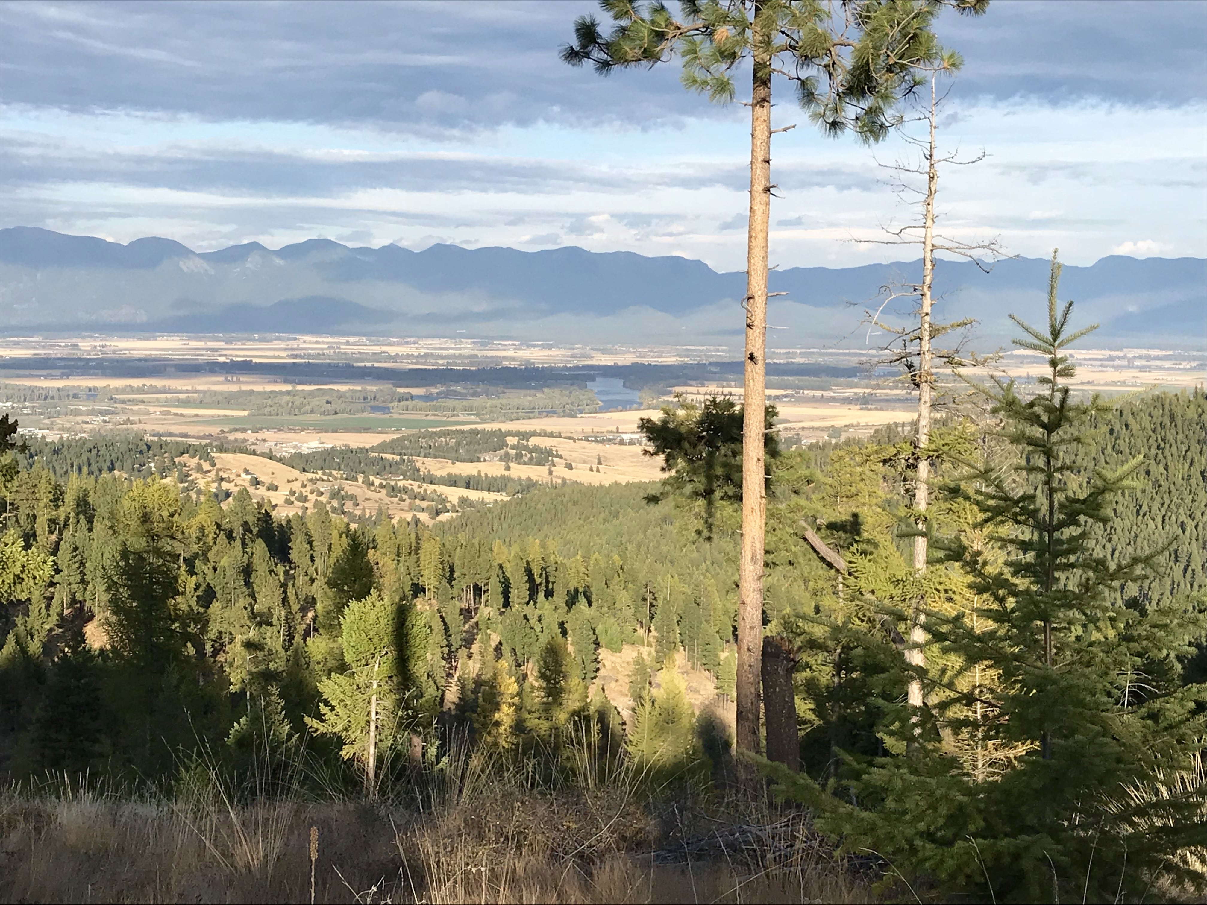 Montana view and neighbors