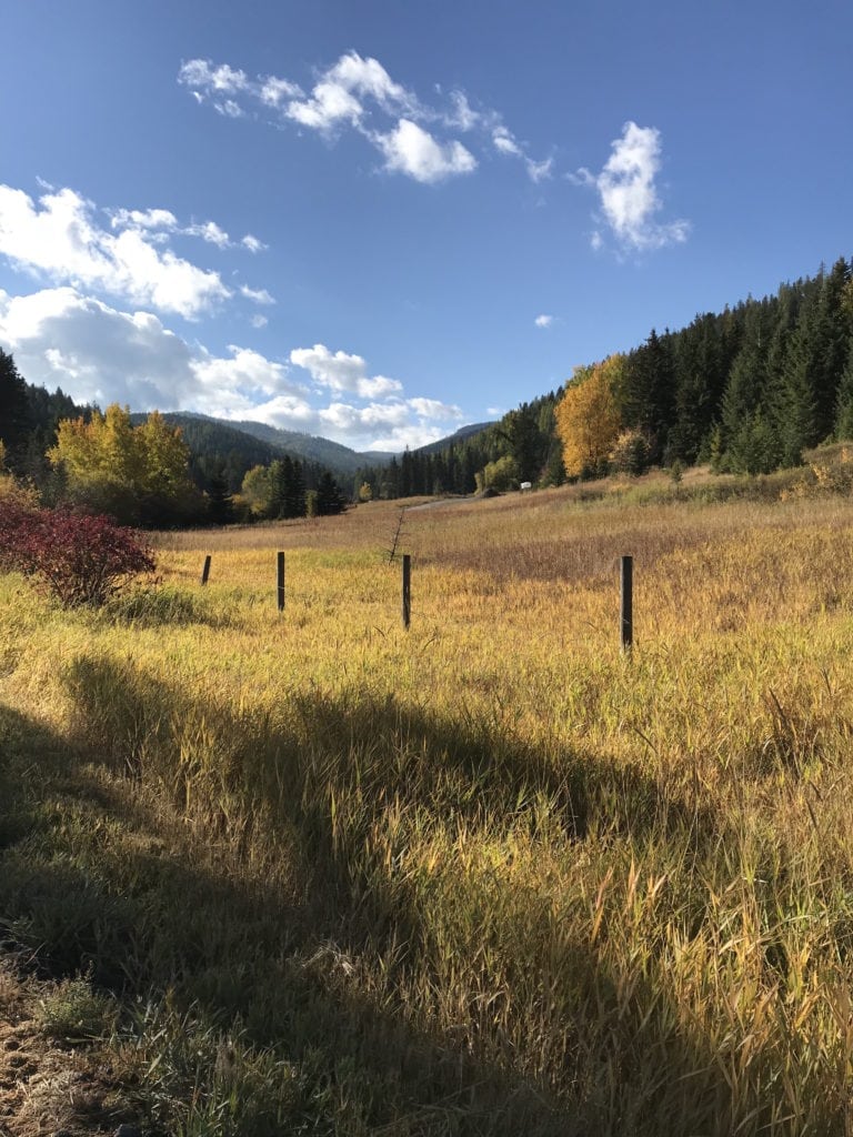 Kalispell MT New Construction