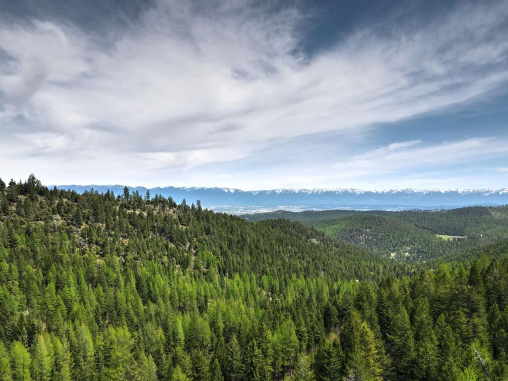 Under Contract: NHN Patrick Creek Rd/Old Coon Hollow Rd, Kalispell photo of views