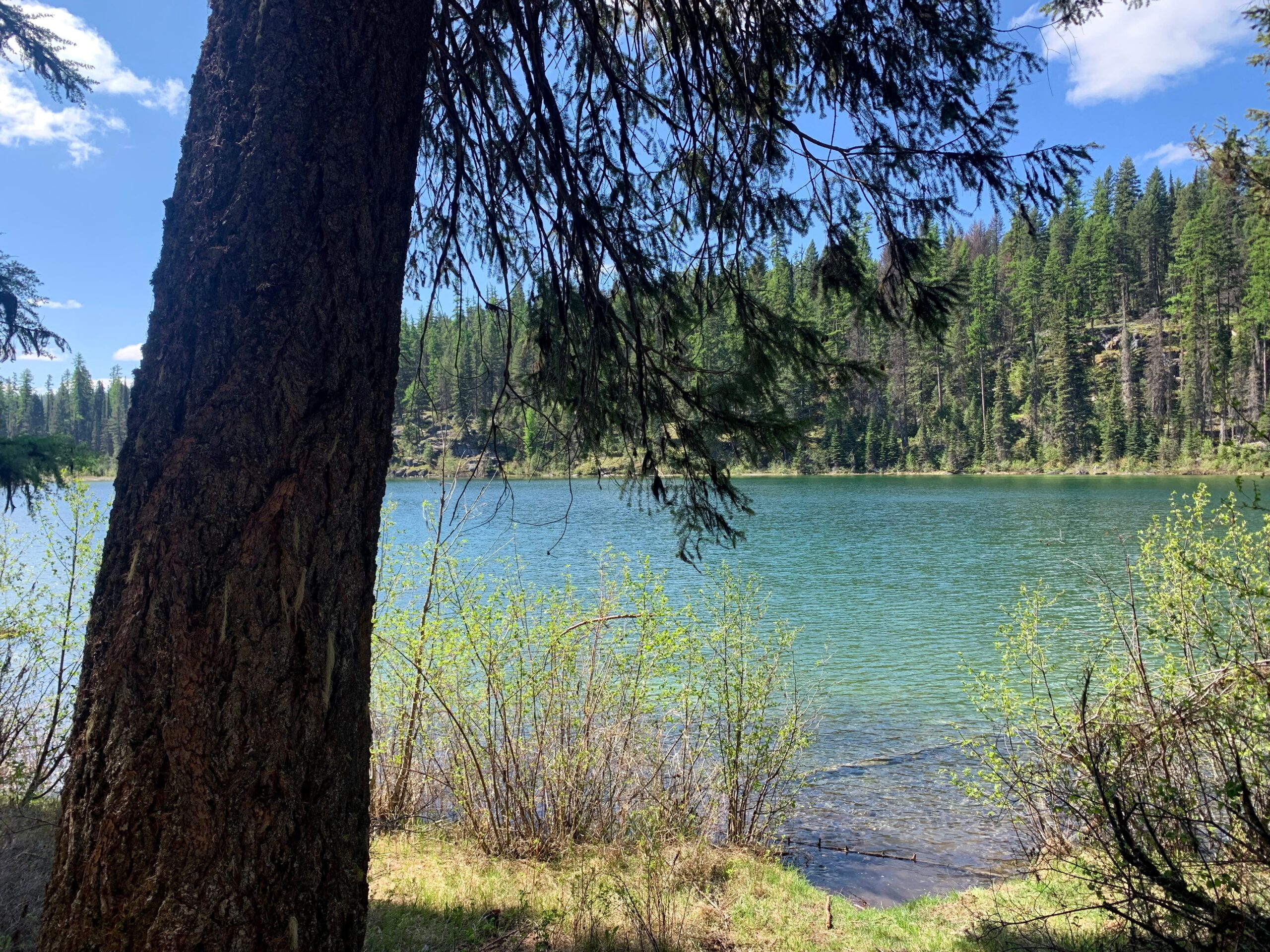 Hiking in Flathead County  photo of lake